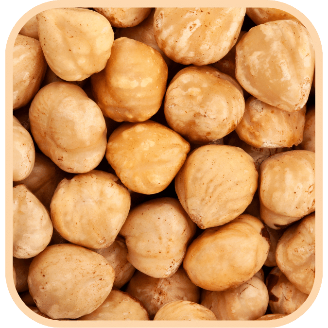 (image for) Hazelnuts - Roasted